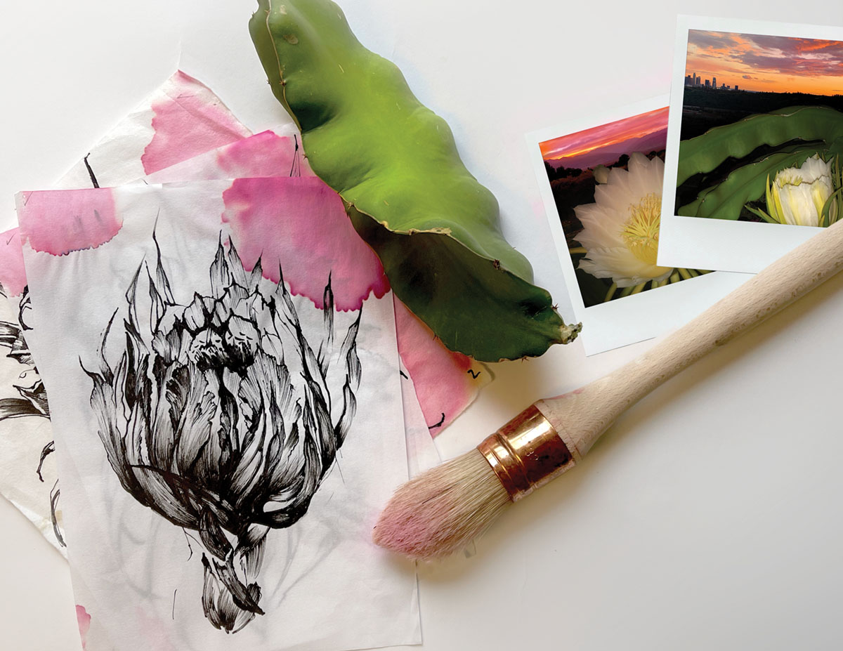collage of garden snapshots, watercolor paint brush, and black-and-white illustration of a pitaya bloom