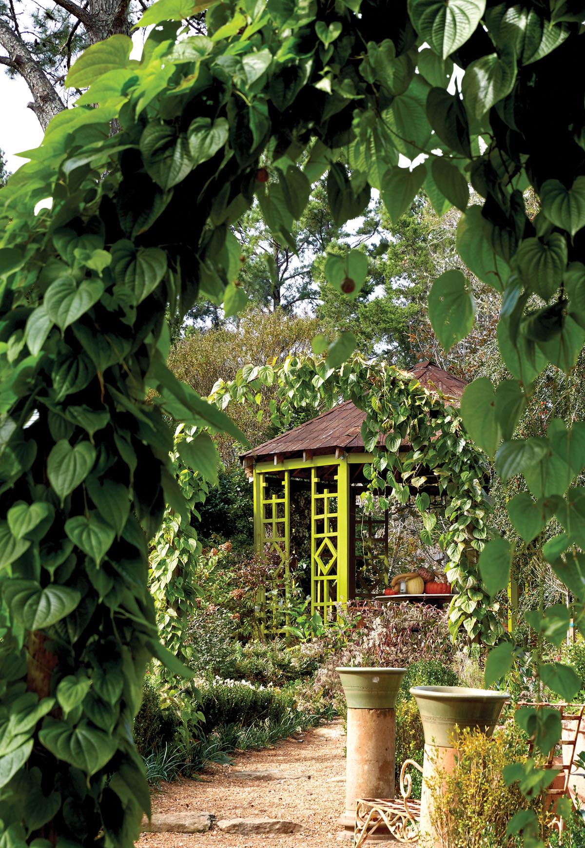 Lush, vine covered arches frame a path leading to a garden folly at Keith Robinson's home at Redwine