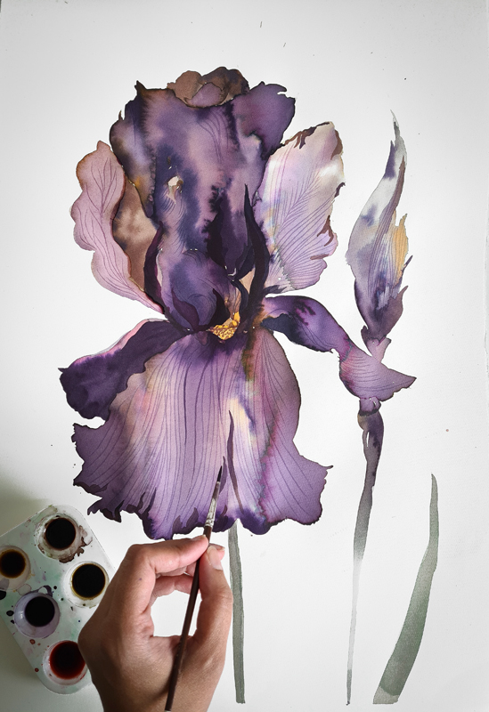 close-up of artist Safiyyah Choycha's hand as she paints a purple iris in watercolor