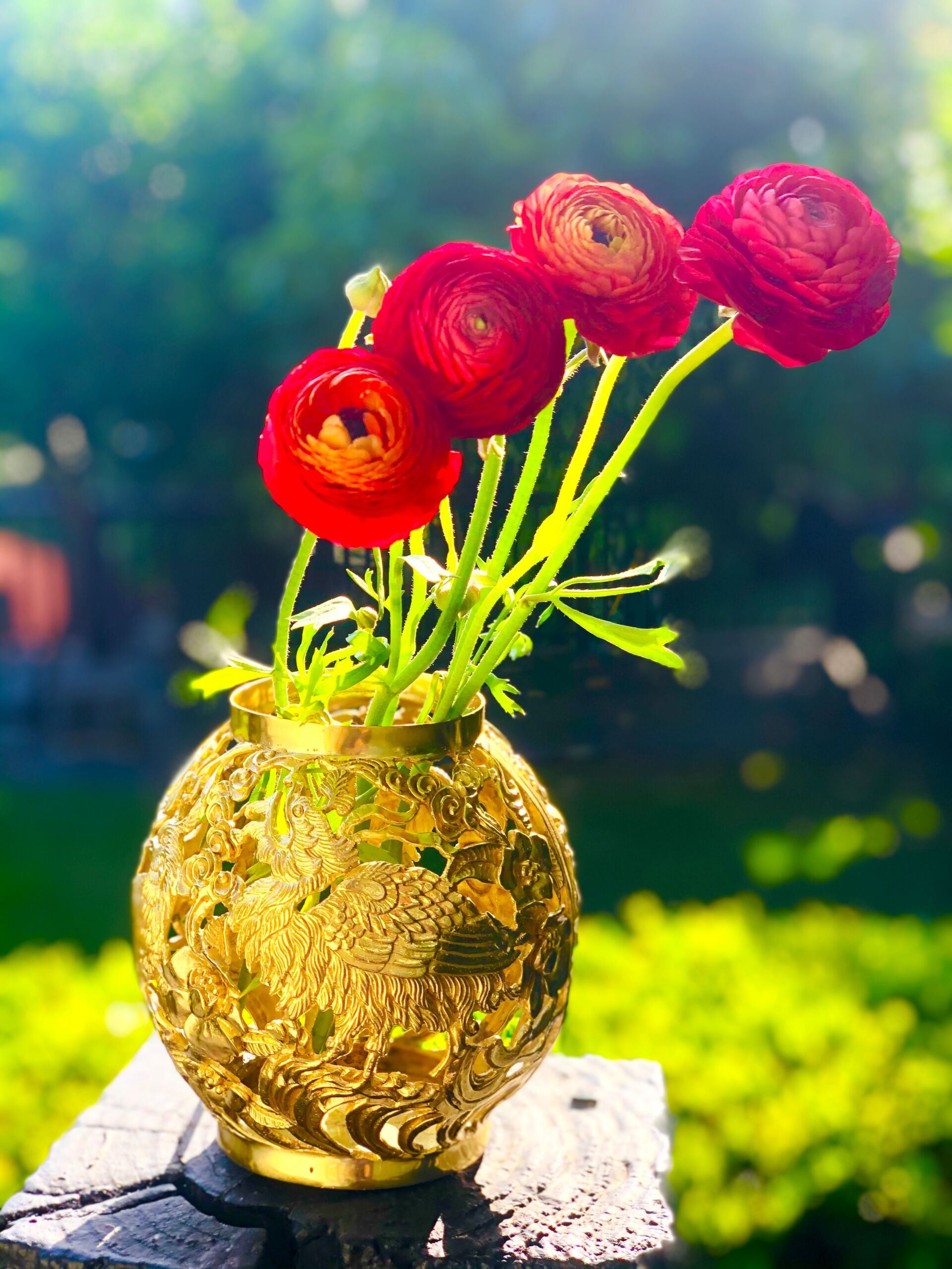 Red ranunculus are in a brass vase.