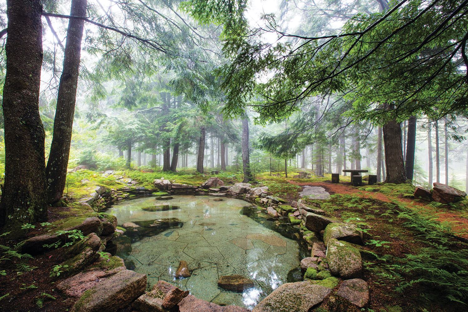 Rock-edged, woodland pool at Skyland, Martha Stewart's summer home in Maine