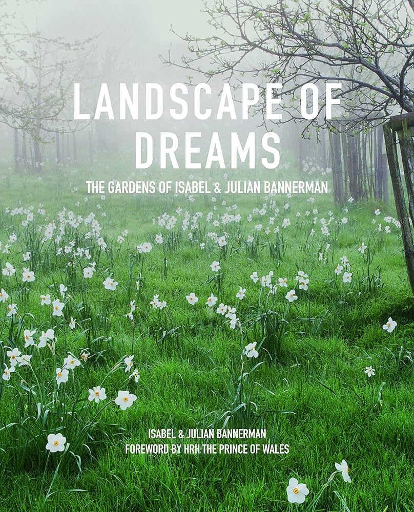 LANDSCAPE OF DREAMS cover with a green field and white flowers.