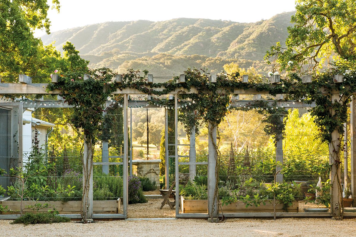A trellis frames the charming goat garden at Patina Farm, but nothing can contain the spectacular view of Black Mountain.
