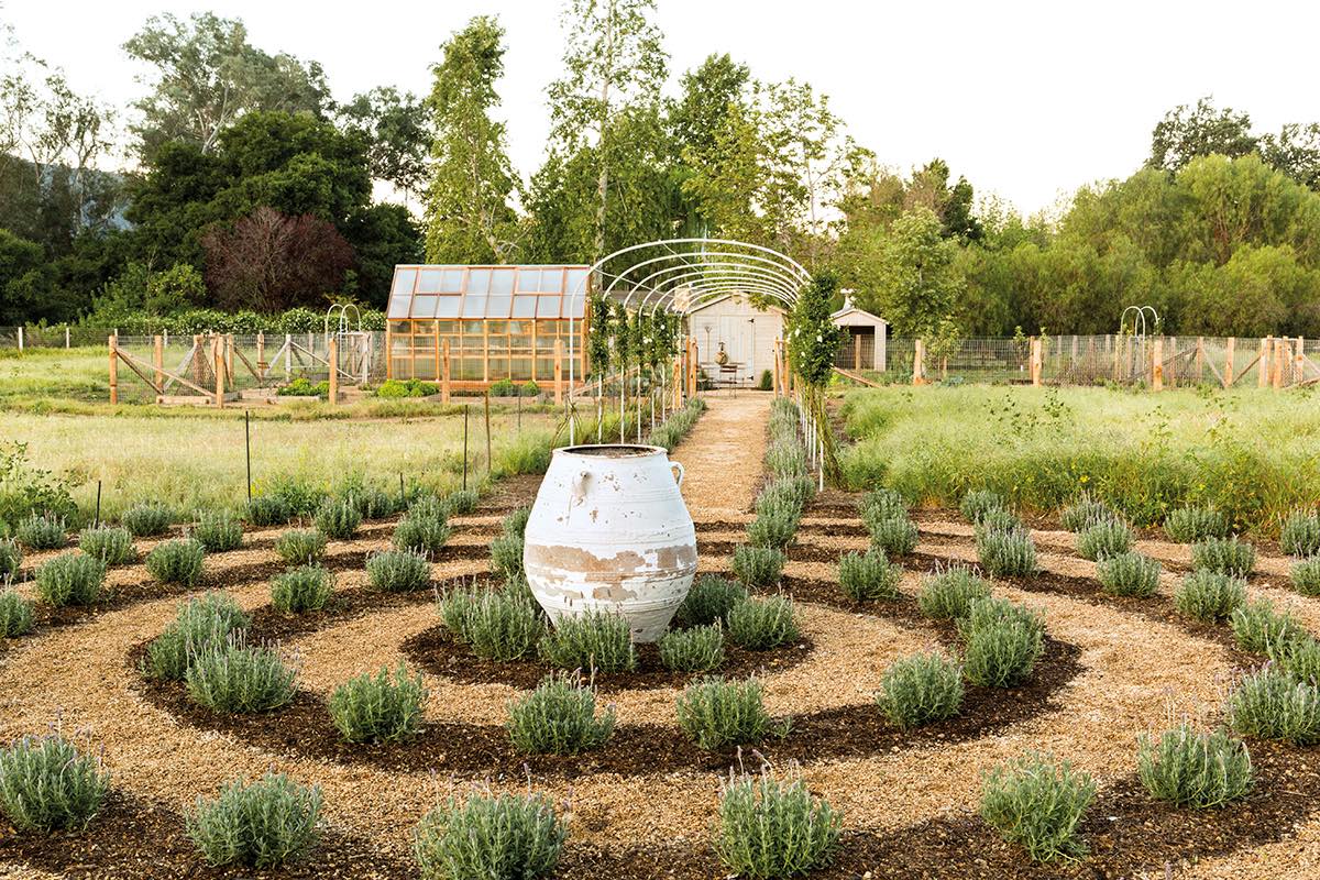 A large olive jar is encircled by a labyrinth planted with Spanish lavender.