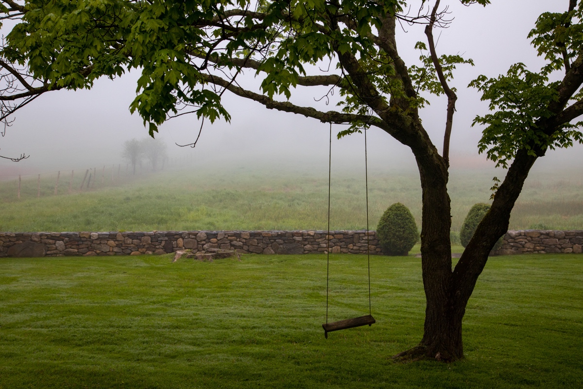 A swing hangs on a tree in front of a misty meadow.