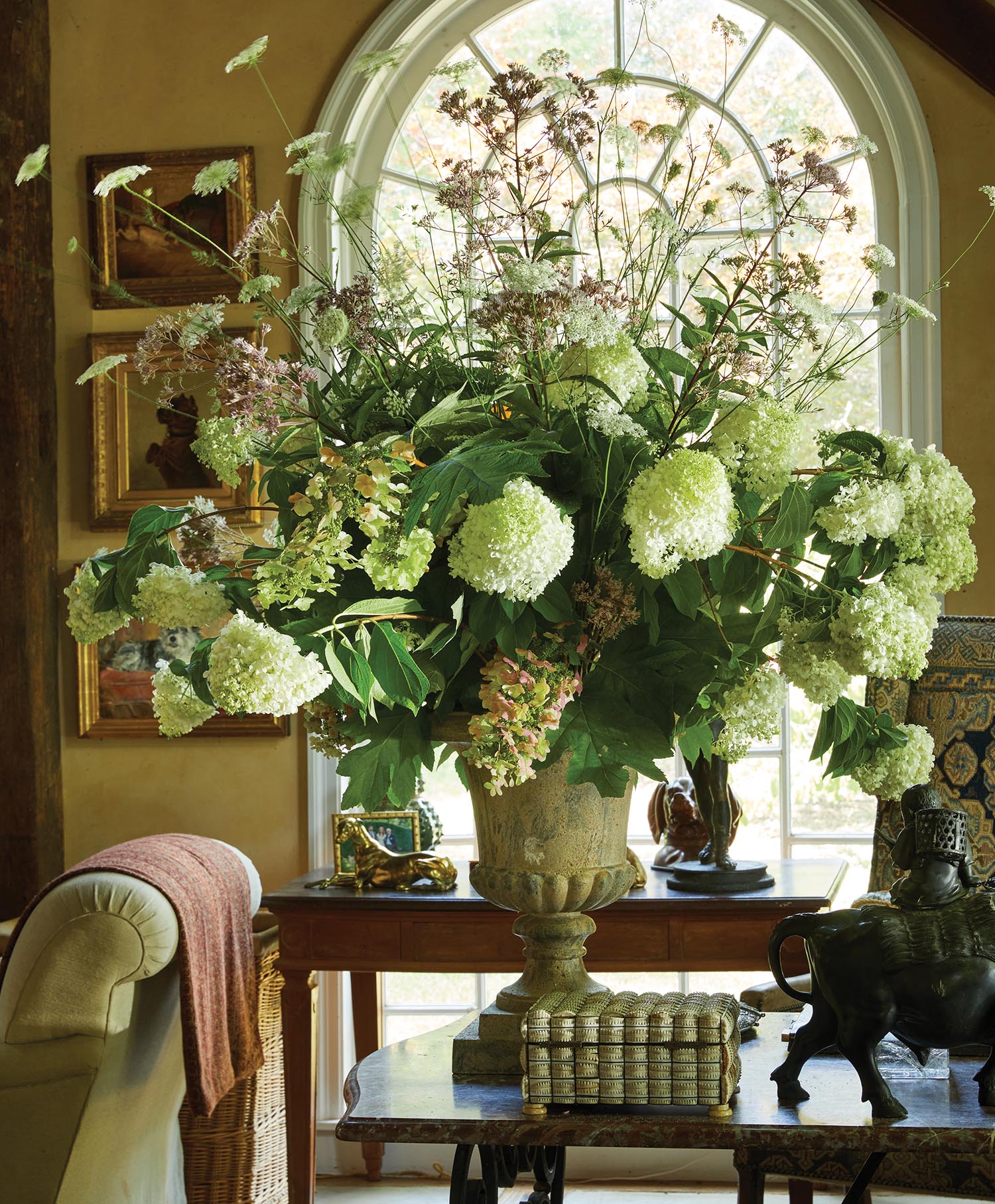 Limelight hydrangeas burst out of a stone urn.