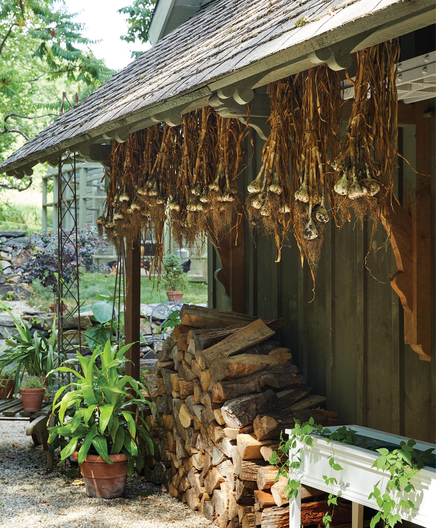 Dried flowers hang over chopped wood.