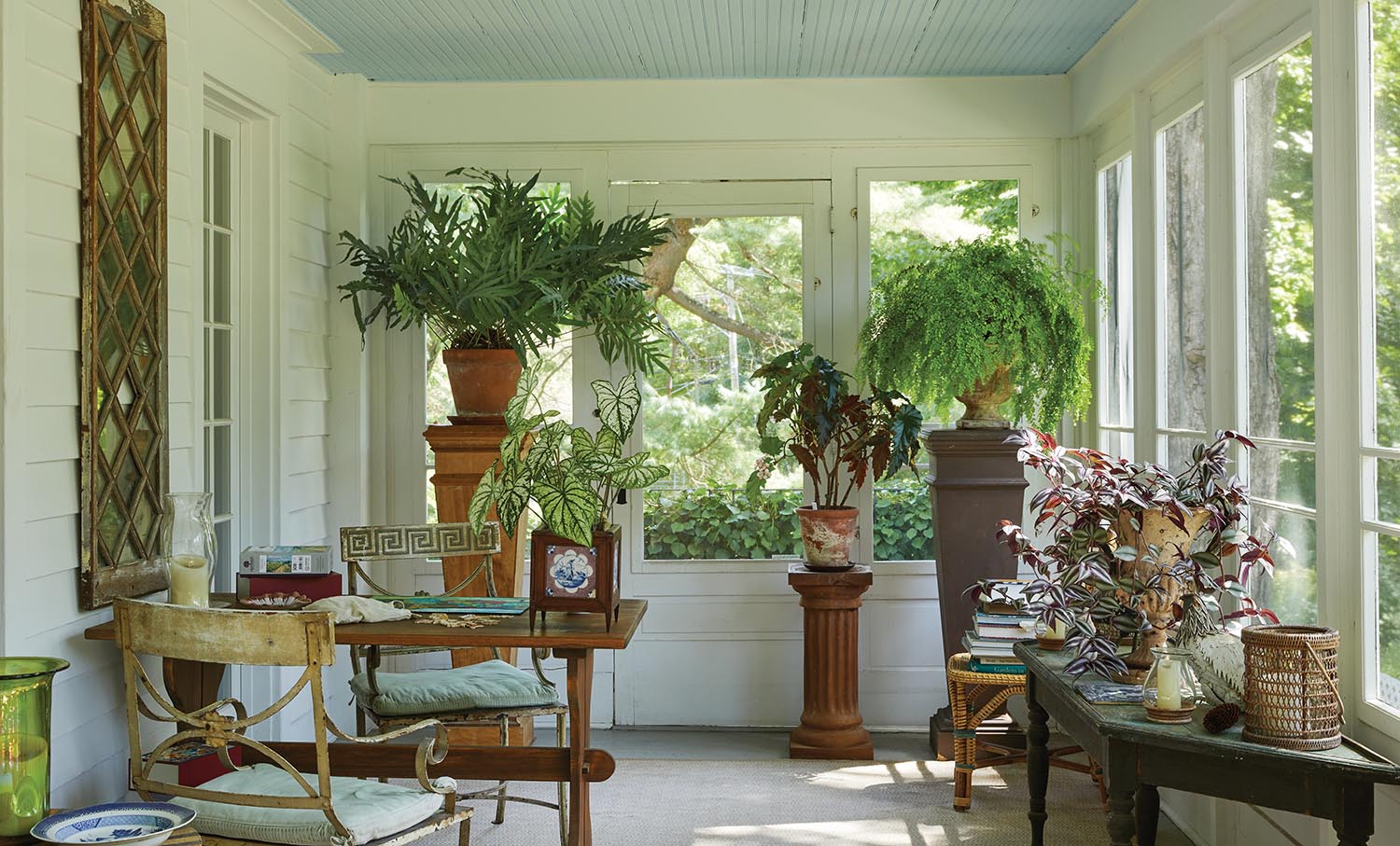 Ferns and other houseplants in a sunroom, Bunny Williams' conservatory.