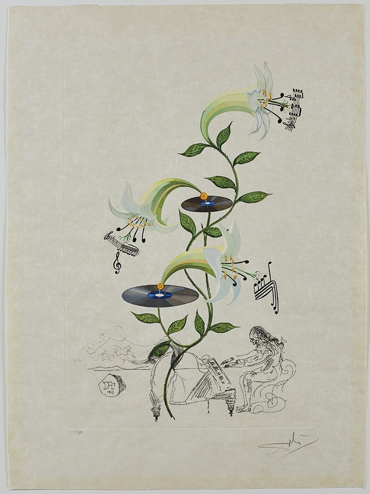 Lilium Musicum etching by Salvador Dali