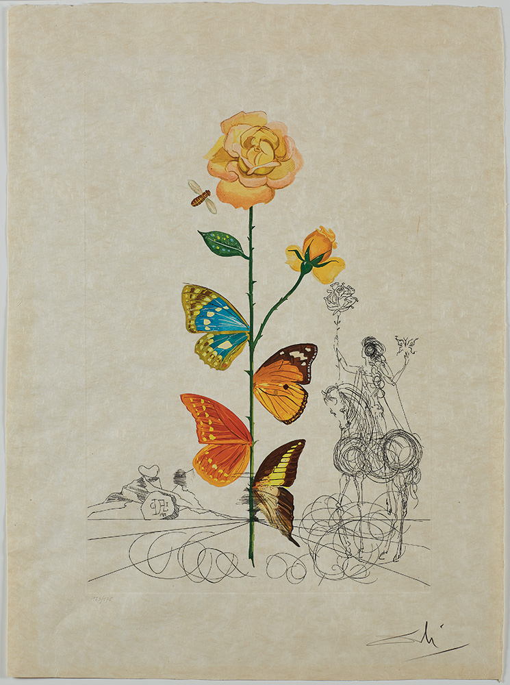 Salvador Dali's "Butterfly Rose"