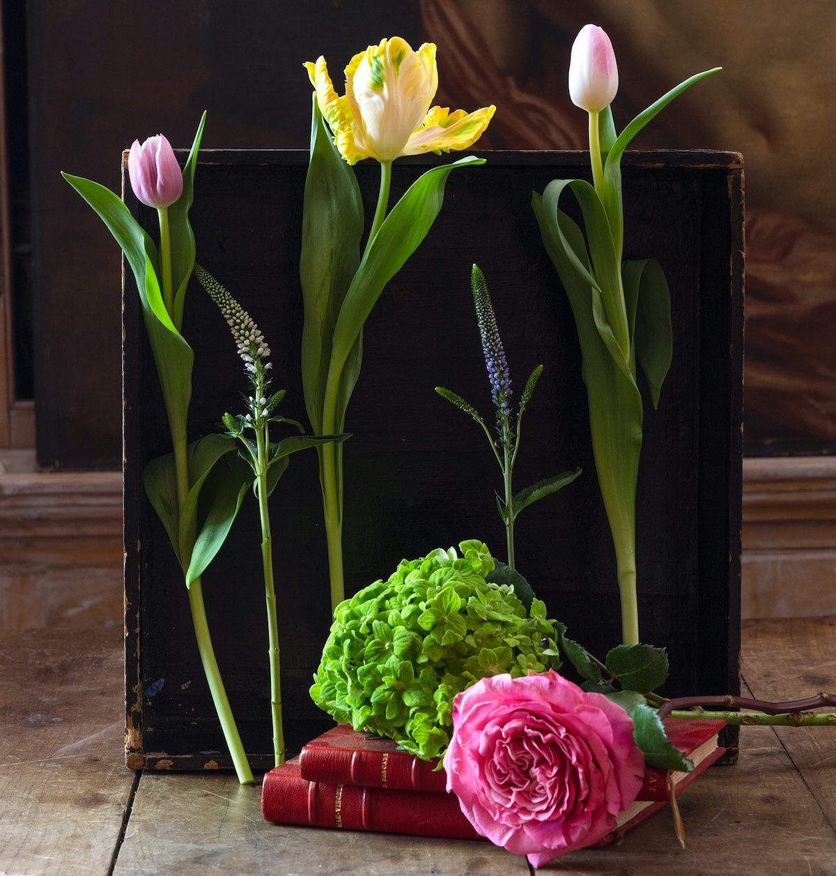 “Hulk” hydrangea David Austin “Ashley” roses Pink field tulips Yellow parrot tulips Lysimachus, blue and white