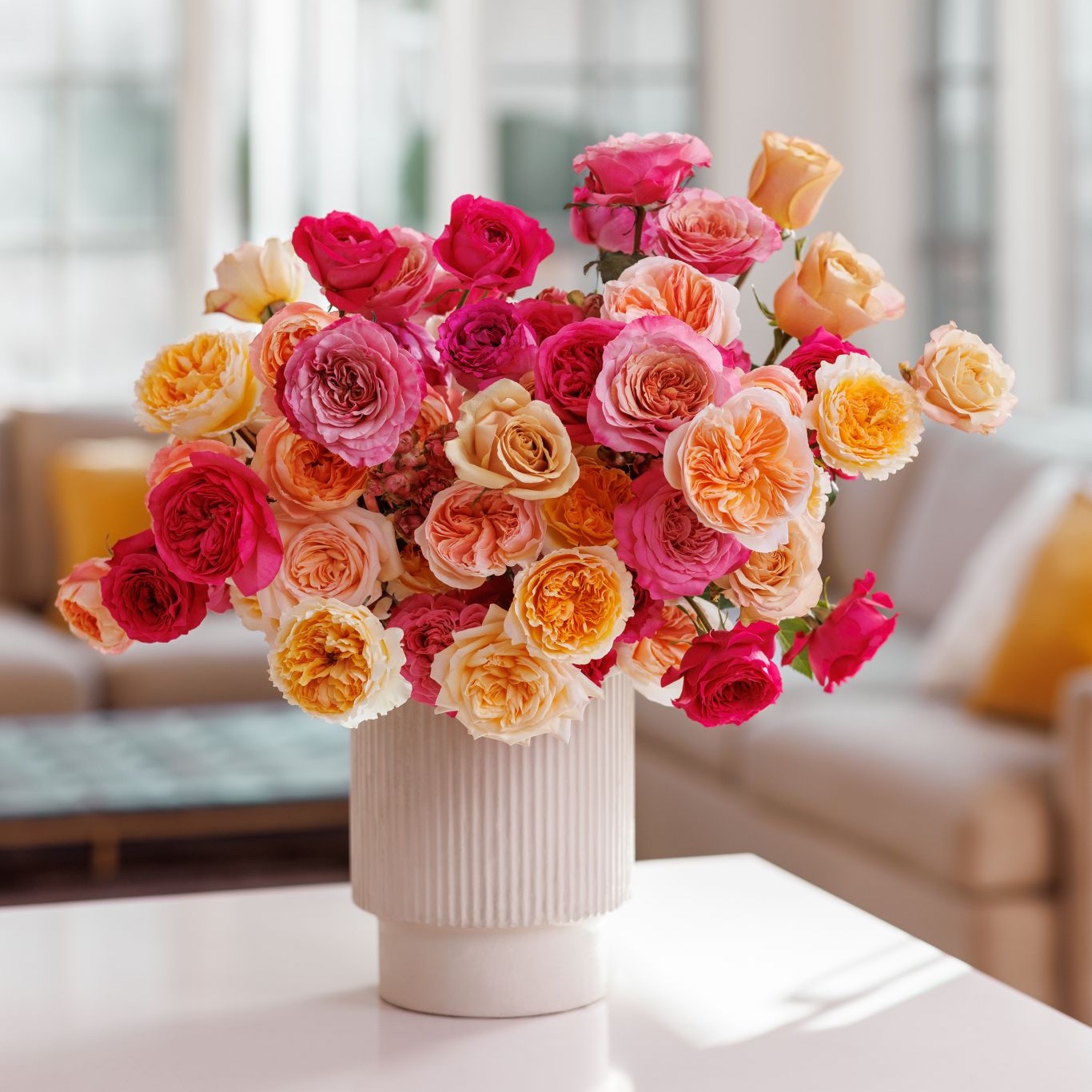Pink, red and orange roses bloom in a white vase. 