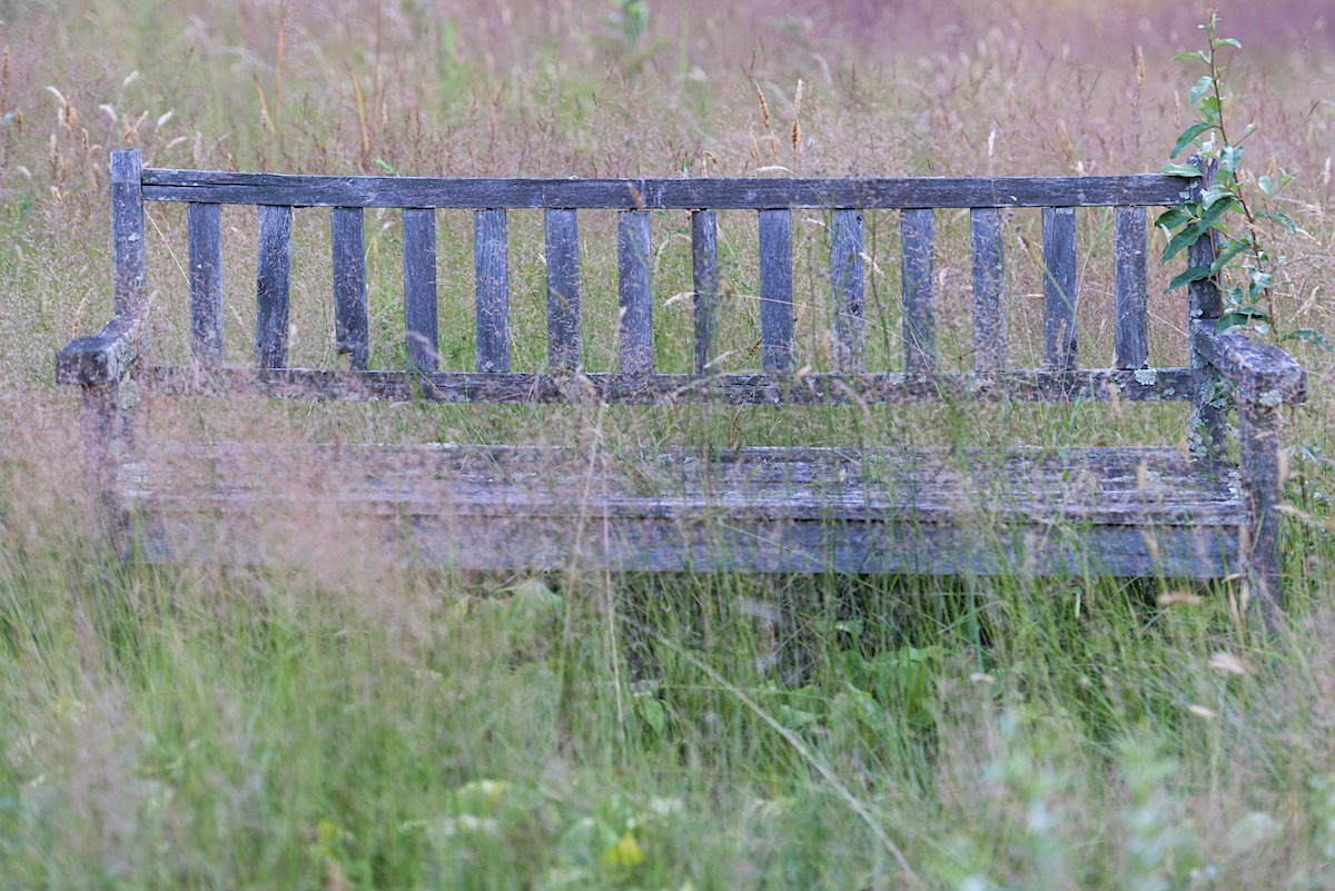 Working the textural broadloom of a meadow adjacent to the neighboring wildlife sanctuary, Grossman lets the meadow grass all but engulf a weathered cedar bench.